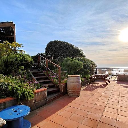 Le Dune Sea View Apartments - Futura Cav San Vincenzo Exterior photo